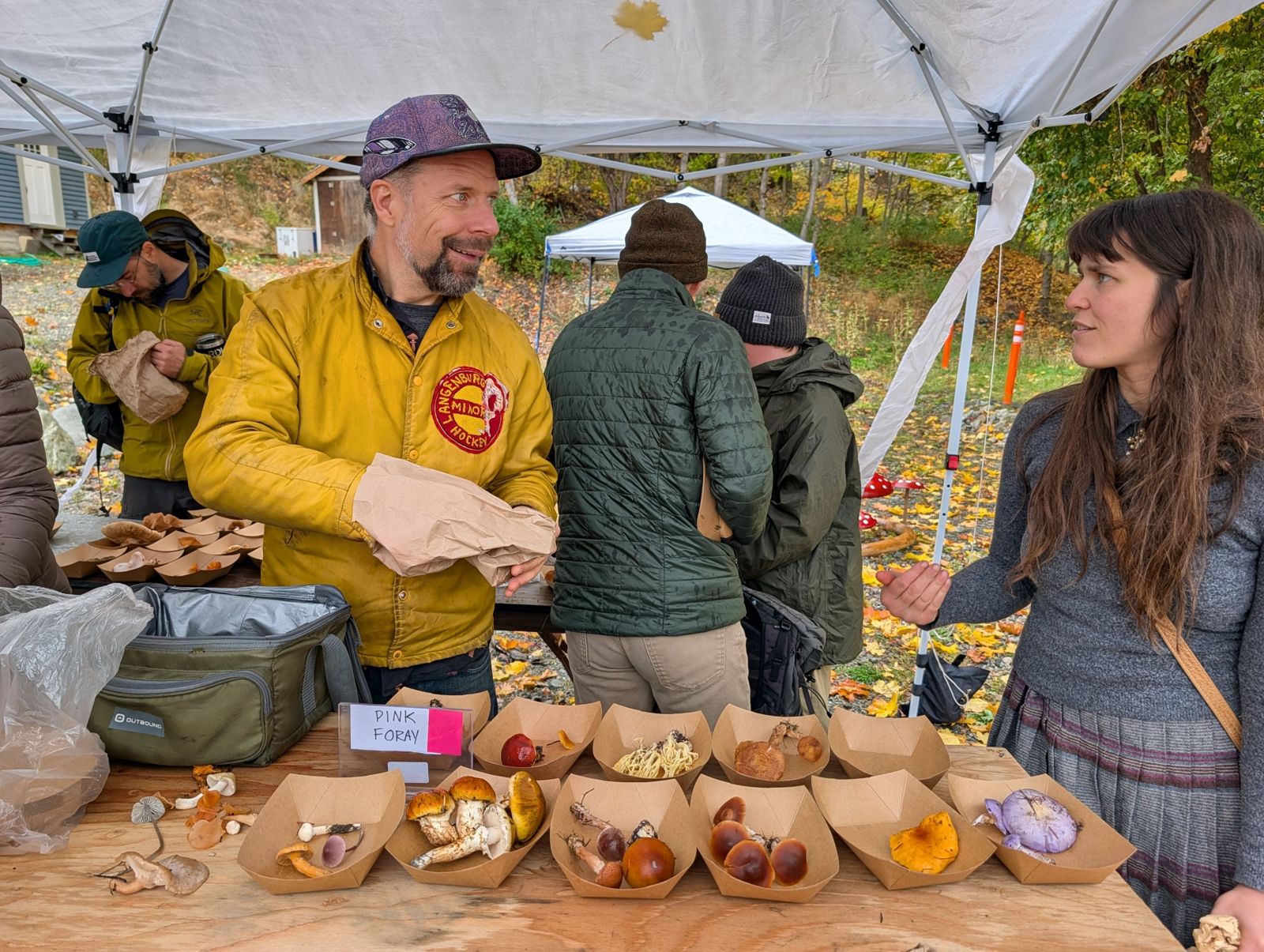 Foray leader sorting finds at the Pink Foray table under a tent, with mushrooms in kraft trays